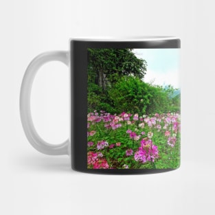 Vietnam - Champ de fleurs sur le plateau de Ha Giang Mug